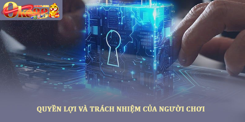 Chính sách bảo mật oke88 bảo vệ thông tin người chơi an toàn 3 Quyền lợi và trách nhiệm của người chơi